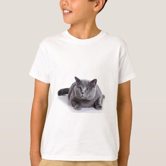 灰色猫 Tシャツ (正面)