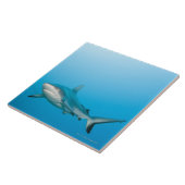 灰色礁の鮫(メジロザメ属のamblyrhnchos) タイル (側面)