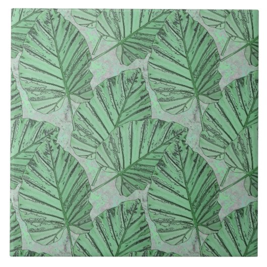 灰色葉の石に緑の。 タイル (正面)