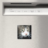 灰色虎猫磁石 マグネット (インサイチュ (食洗機))