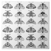 灰色、黒、白の蛾 タイル (正面)