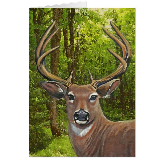 灰草原のシカ (正面)