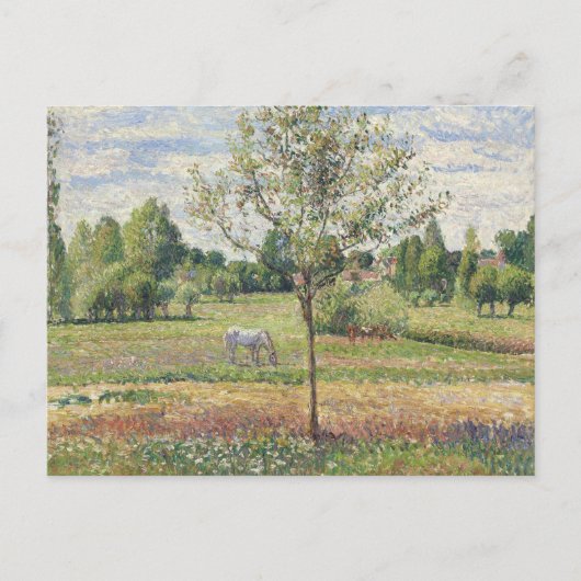 灰馬のいる牧草地 エラニイ 油絵 ポストカード (正面)