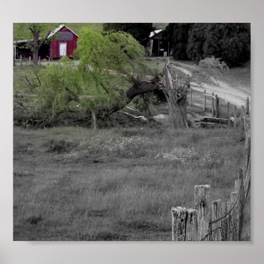 災害後の生活 ポスター (正面)