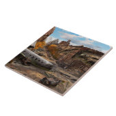 災害 – New York, NY – 赤離れを点灯しない タイル (側面)