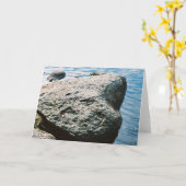 炉の石 カード (黄色い花)