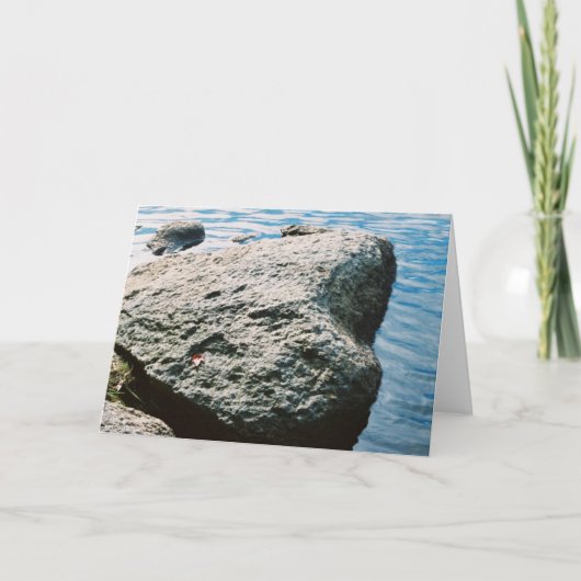 炉の石 カード (正面)