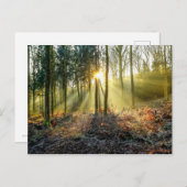 炉谷はがき ポストカード (正面/裏面)