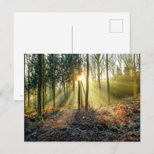 炉谷はがき ポストカード (正面/裏面)