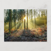 炉谷はがき ポストカード (正面)