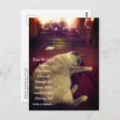 炎に眠る泡 ポストカード (正面/裏面)