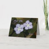 炎のすみれ色の熱帯野草がすぐよくなる カード (正面)