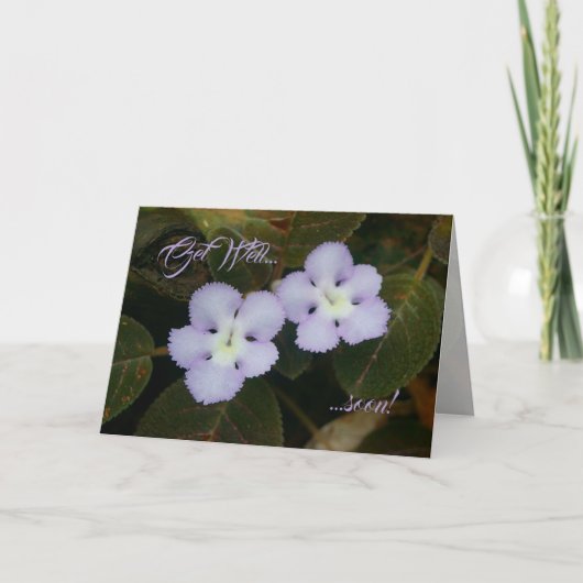 炎のすみれ色の熱帯野草がすぐよくなる カード (正面)