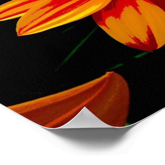 炎のオレンジ色の花に蝶 – はっきりした自然・アート ポスター (角)