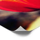 炎のオレンジ色の黄色のチューリップフラワークローズアップ ポスター (角)