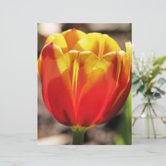 炎のオレンジ色の黄色のチューリップフラワースクラップブック紙 (スタンド正面)