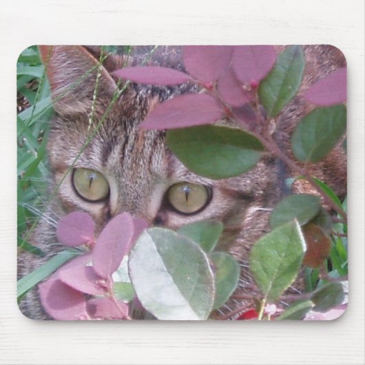 炎のキャッツ・アイのマウスパッド マウスパッド (正面)