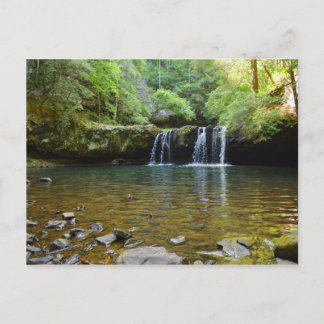 炎のギザードトレイルテネシーはがき ポストカード