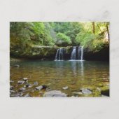 炎のギザードトレイルテネシーはがき ポストカード (正面)