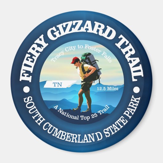 炎のギザード(C) マグネット (正面)