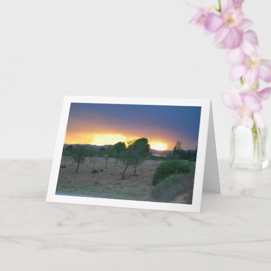 炎のスカイオーチャードランドスケープ カード (蘭)