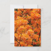 炎のツツジの花 招待状 (正面)