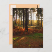 炎のブレスケン ポストカード (正面/裏面)