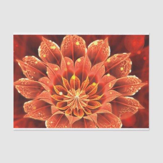 炎のルビーレッド&イエローガザニア宝花 薄葉紙 (正面)