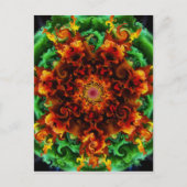 炎の庭 ポストカード (正面)