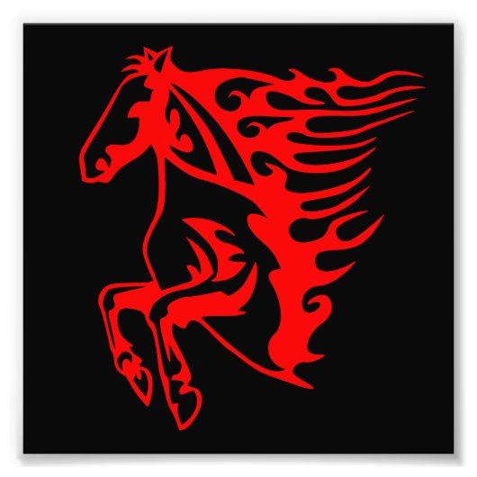 炎の火レッドブロンコムスタンワイルドホース フォトプリント            (正面)