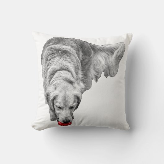 炎を収穫する クッション (正面)