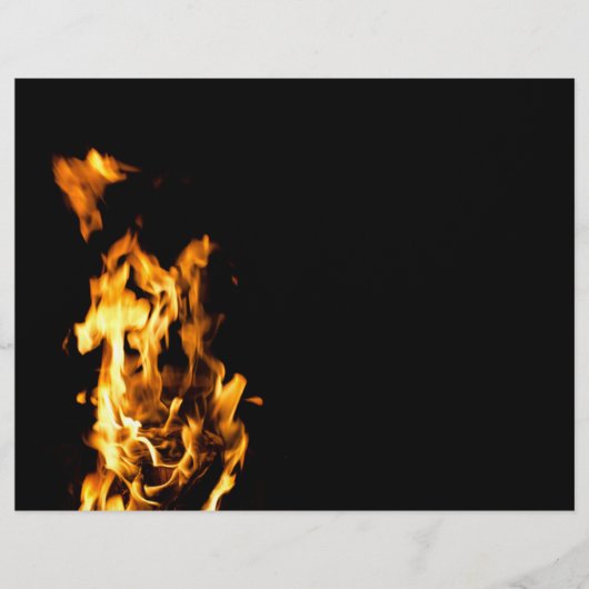 炎 チラシ (正面)