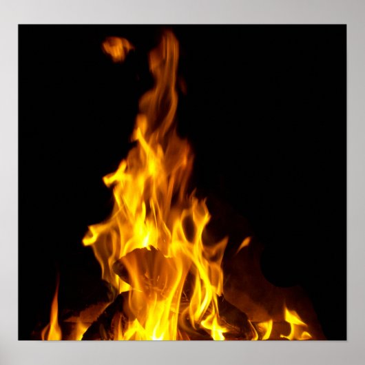炎 ポスター (正面)