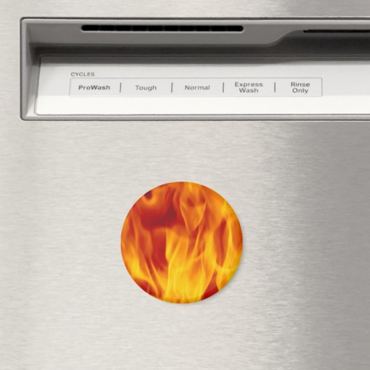 炎 マグネット (インサイチュ (食洗機))