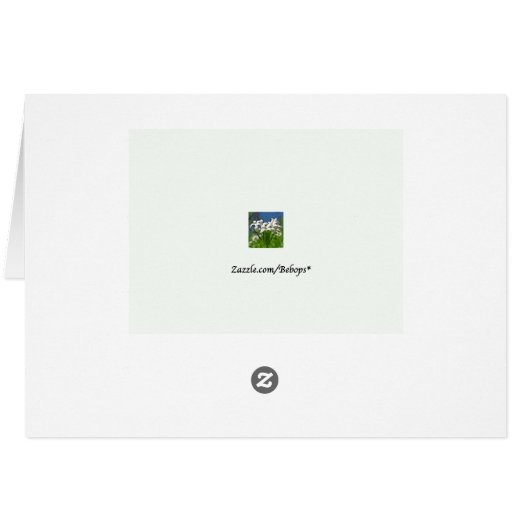 炒めカー空白のド (裏面横)