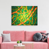 炭疽菌の顕微鏡的見解2 キャンバスプリント (インサイチュ (リビング))