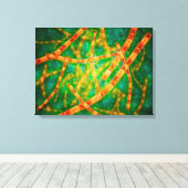 炭疽菌の顕微鏡的見解2 キャンバスプリント (インサイチュ (ウッドフロア))