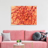 炭疽菌の顕微鏡的見解3 キャンバスプリント (インサイチュ (リビング))