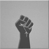 炭素繊維デコールにおける連帯拳 シール (正面)