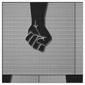 炭素繊維デコールにおける連帯拳 ファブリック (クローズアップ)