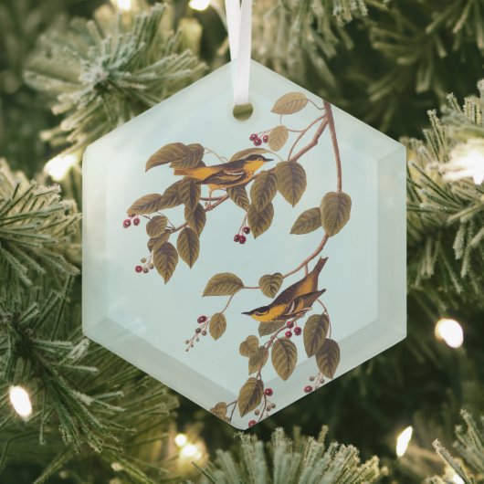 炭酸入りウグイス小鳥 ガラスオーナメント (インサイチュ)