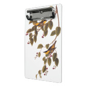 炭酸入りウグイス小鳥 ミニクリップボード (アングル2)