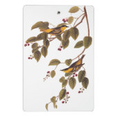 炭酸入りウグイス小鳥 ミニクリップボード (裏面)