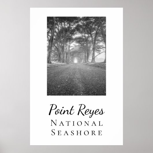 点の再び ポスター (正面)