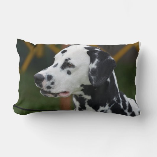 点を持つダルマチア人 ランバークッション (正面)