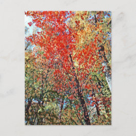 点樹林 ポストカード