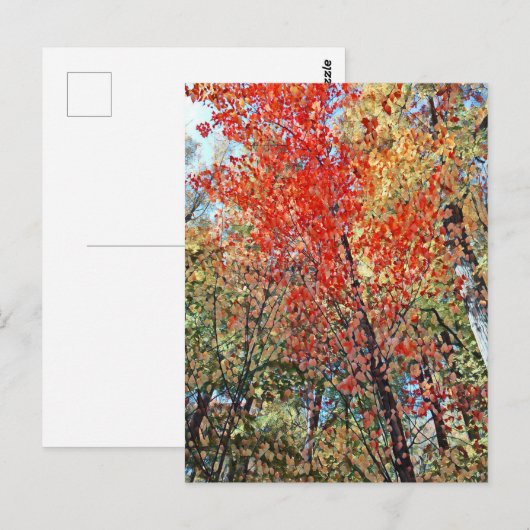 点樹林 ポストカード (正面/裏面)