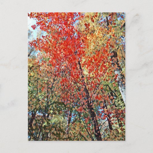 点樹林 ポストカード (正面)