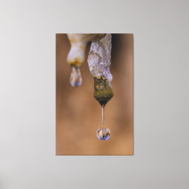 点滴 キャンバスプリント