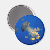 点状葉植物 マグネット (正面/裏面)